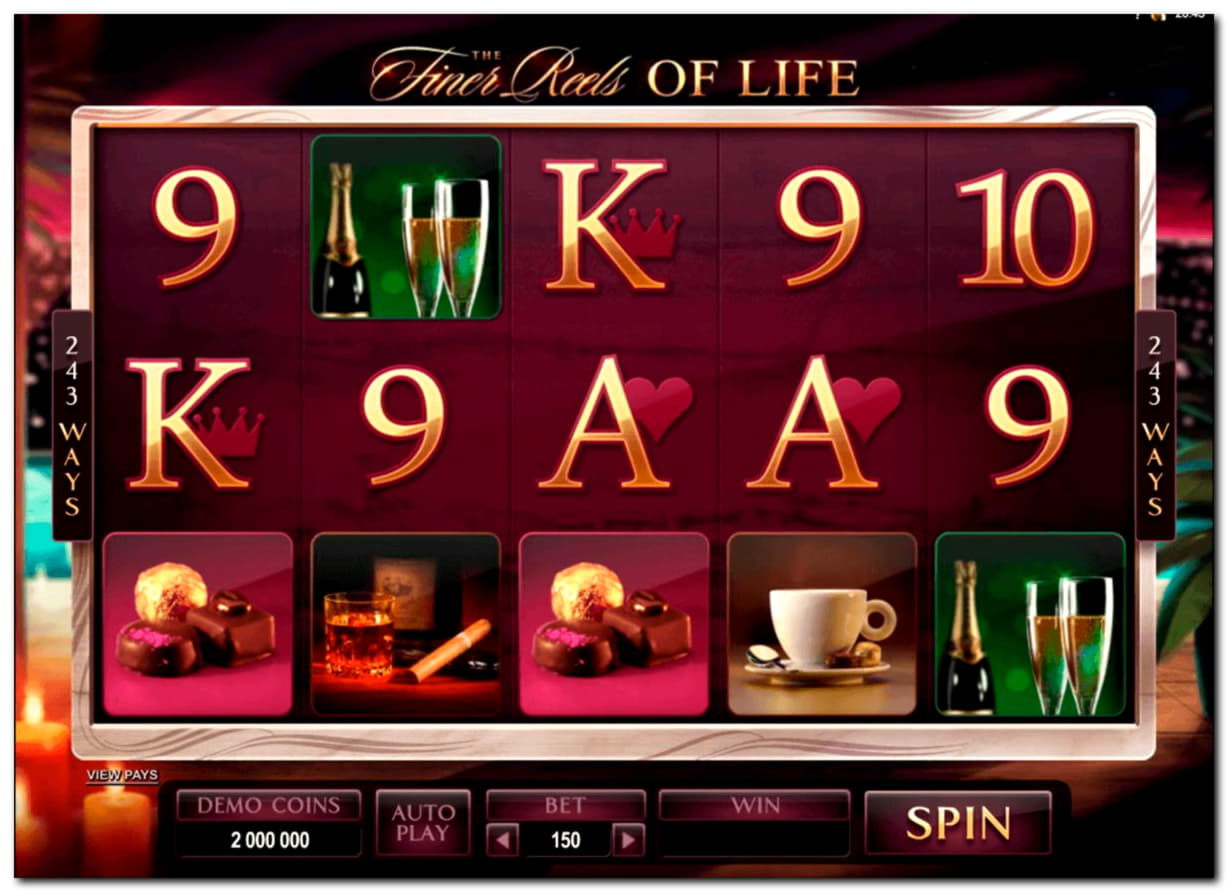 EUR 370 Free Casino Ticket at Casino Dingo